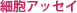 �זE�A�b�Z�C