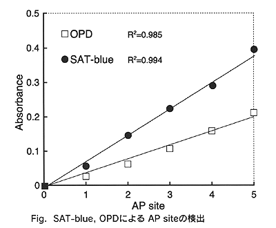 Fig.  SAT-blue, OPDɂ AP sitěo