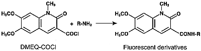 DMEQ-COClEFluorescent derivatives