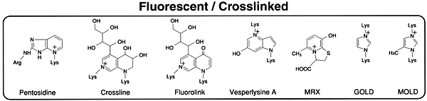 Fluorescent