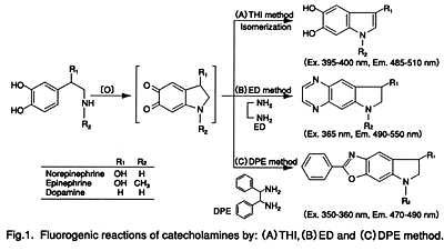 Fig.1