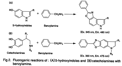 Fig.2