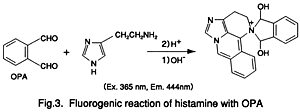 Fig.3
