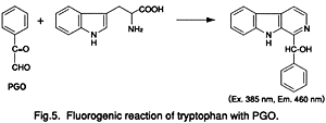 Fig.5
