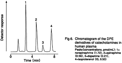 Fig.6