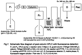 Fig.7