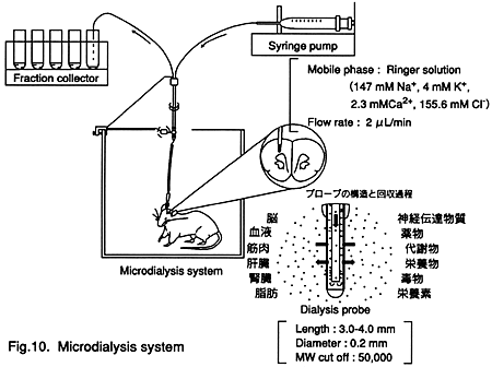 Fig.10