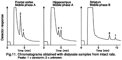 Fig.11