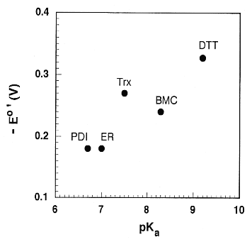 Topics on Chemistryタンパク質を正しく折りたたむ試薬