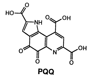 Topics on Chemistry新しい酸化還元補酵素：ＰＱＱ