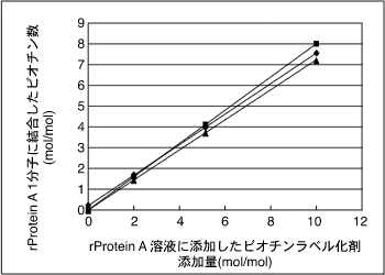 P19-1.gif (7575 oCg)