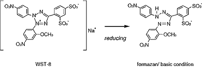 Fig.3