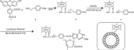 Fig.1