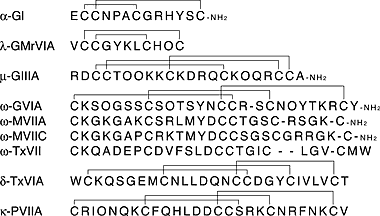 Fig.2