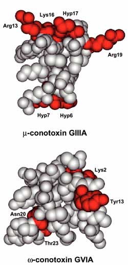 Fig.3 (1h)