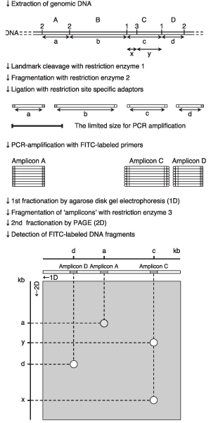 Fig.1