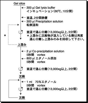 Dojin News No 101 Commercial Dojin News No 101 Commercial