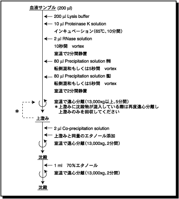 Dojin News No 101 Commercial Dojin News No 101 Commercial