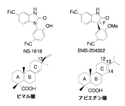 Fig.1