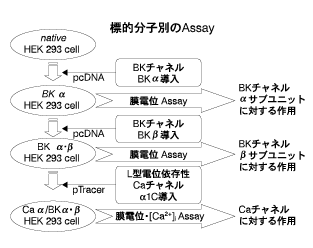 Fig.2