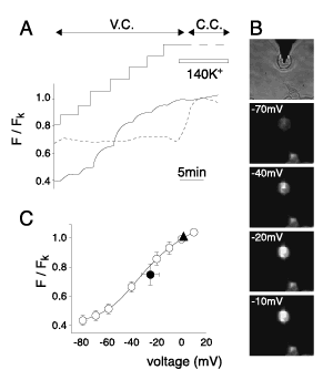 Fig.3