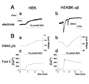 Fig.4