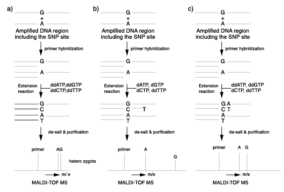 Fig.2