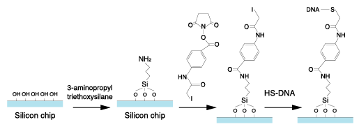 Fig.3