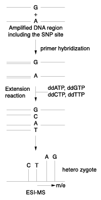 Fig.4