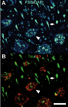 DOJIN NEWS No.109(Reviews)