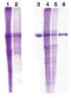 Fig.2