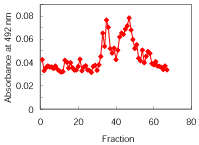 Fig.4@Sephacryl<SUP>TM</SUP> S-300ɂB-PEWR̂̐