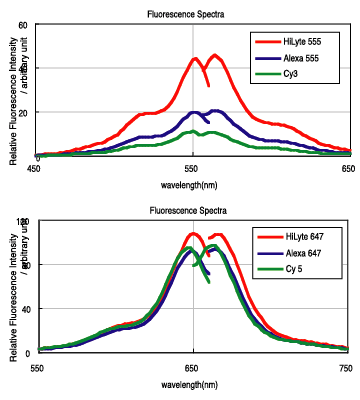 Fig.2 eFf̌uxriXyNgj