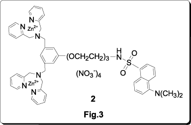 Fig.3