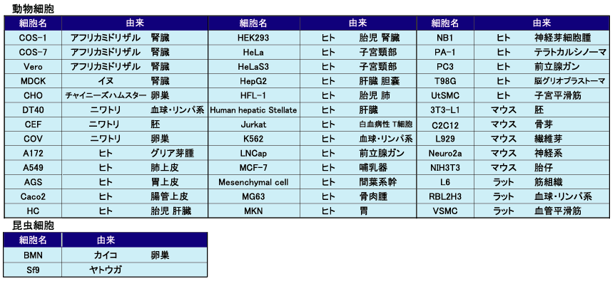 �זE�ւ̓������ѕ\