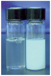 Fig2