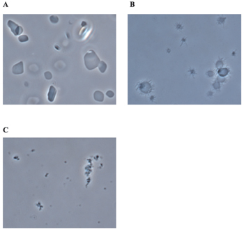 Fig5