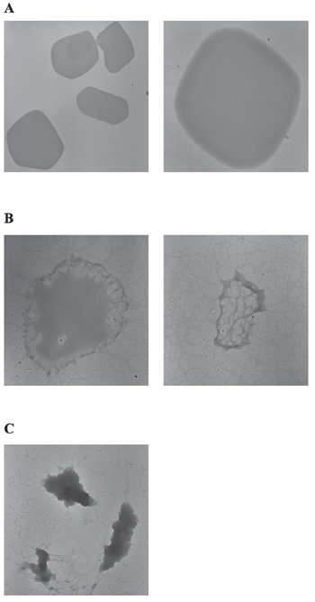 Fig6
