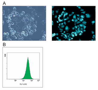 fig9