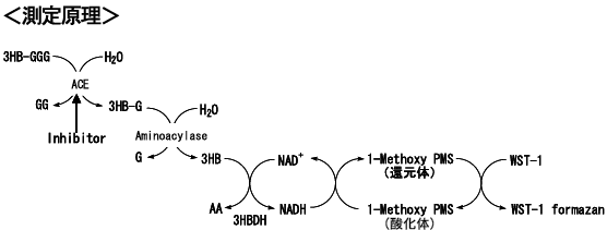 測定原理