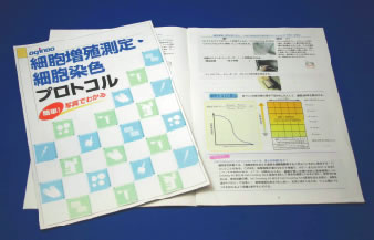 「細胞増殖測定・細胞染色 プロトコル」