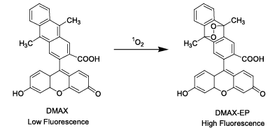 Fig.1