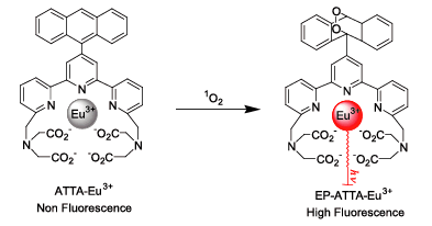 Fig.2