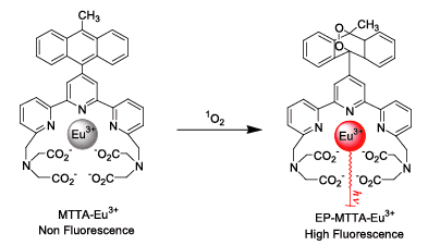 Fig.3