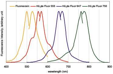 Fig.1