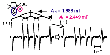 Fig.2