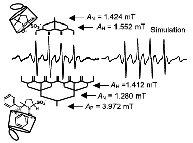 Fig.12