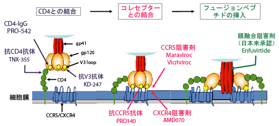 Fig.1