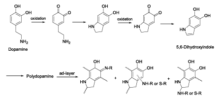 Fig.2