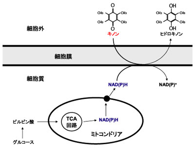 Fig.1